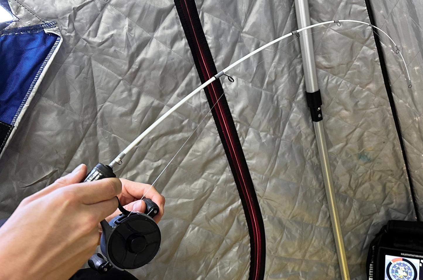 Pig Magnet (Medium Heavy)