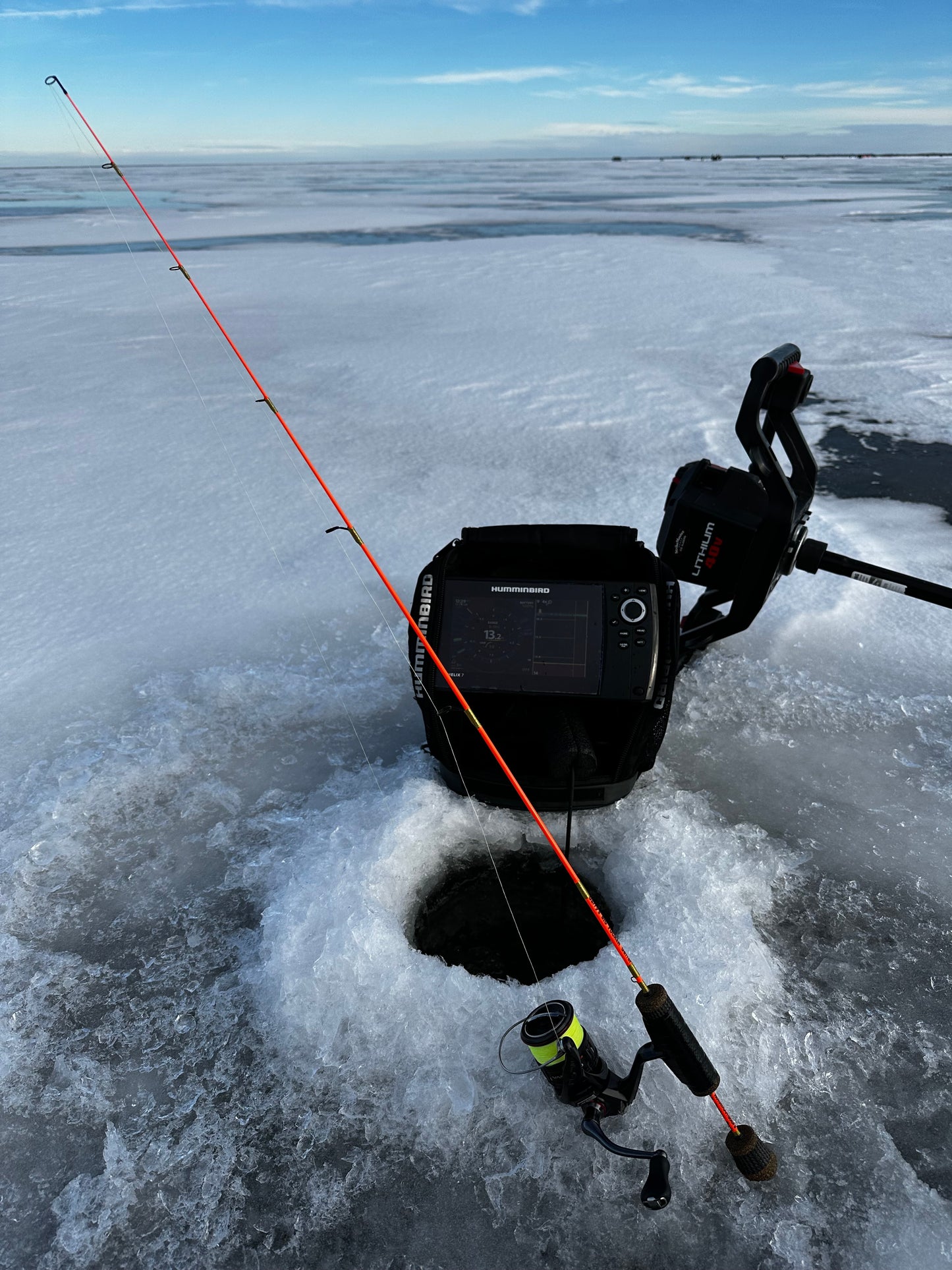 Pig Magnet (Medium Heavy)